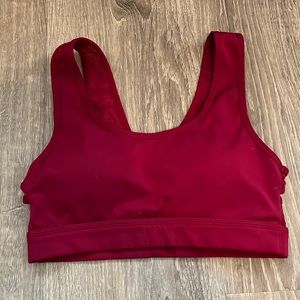 Alphalux Elite Bra in Raspberry. Worn one time. In great condition.